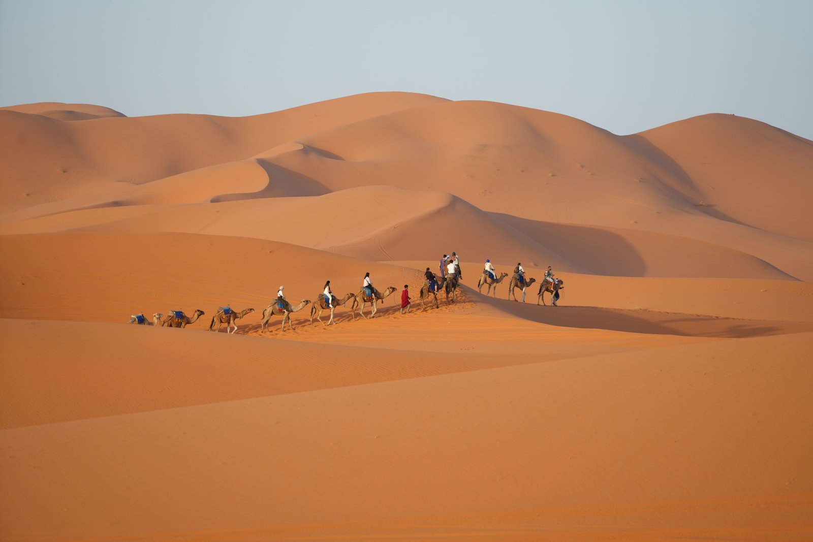 Camel caravan in the Erg Chebbi dunes near Merzouga