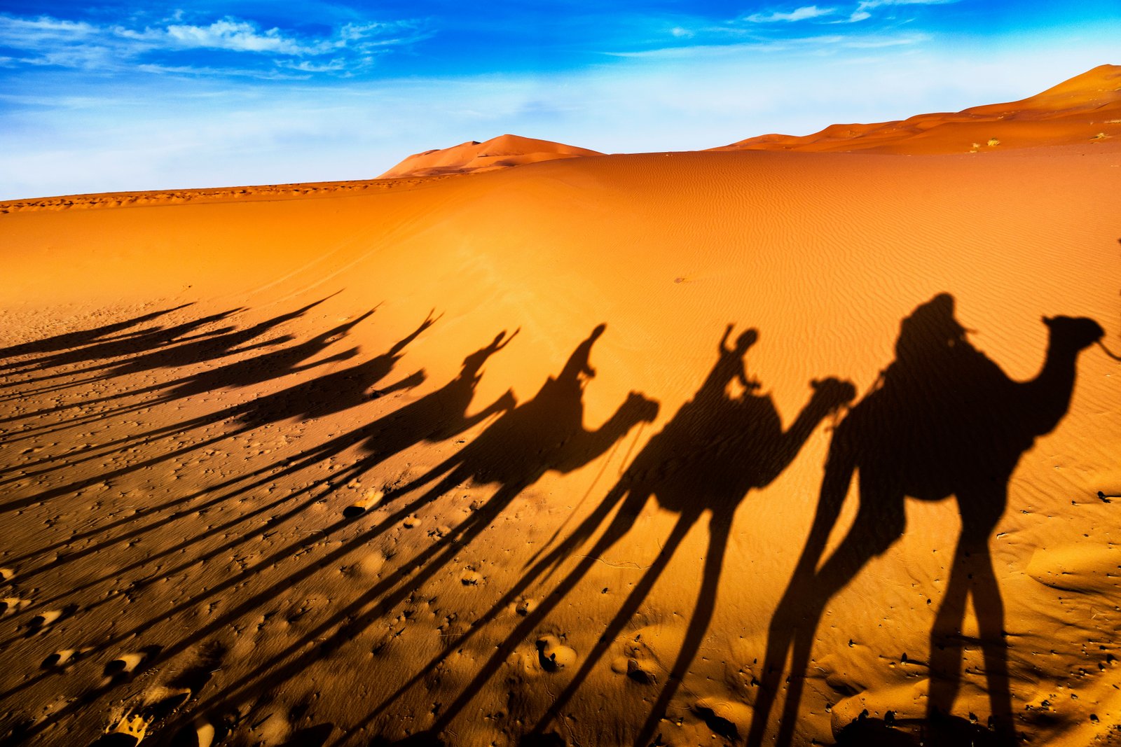 5-Day Marrakech to Fes Desert Tour