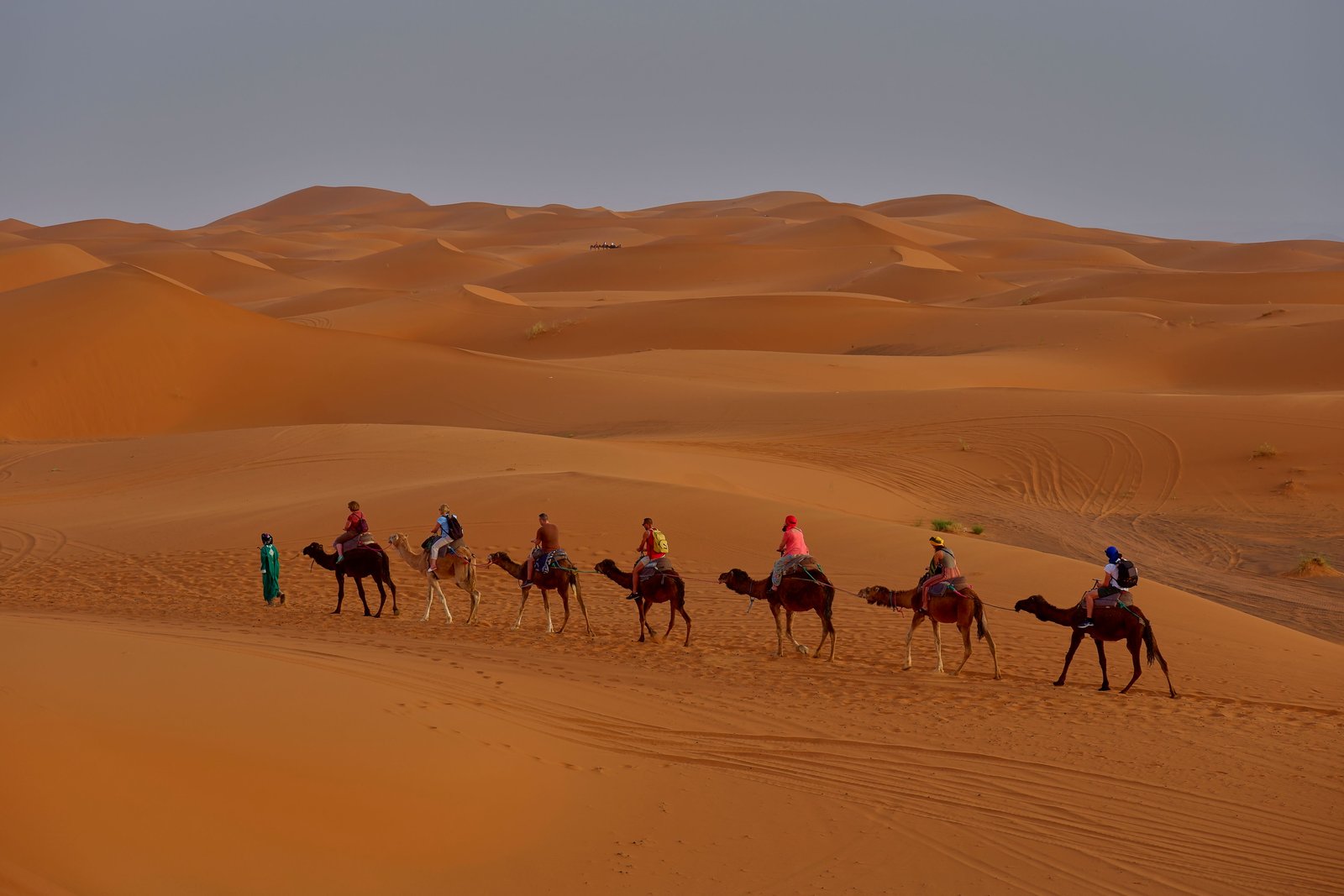 Camel trek at sunset in the Erg Chebbi dunes of Merzouga