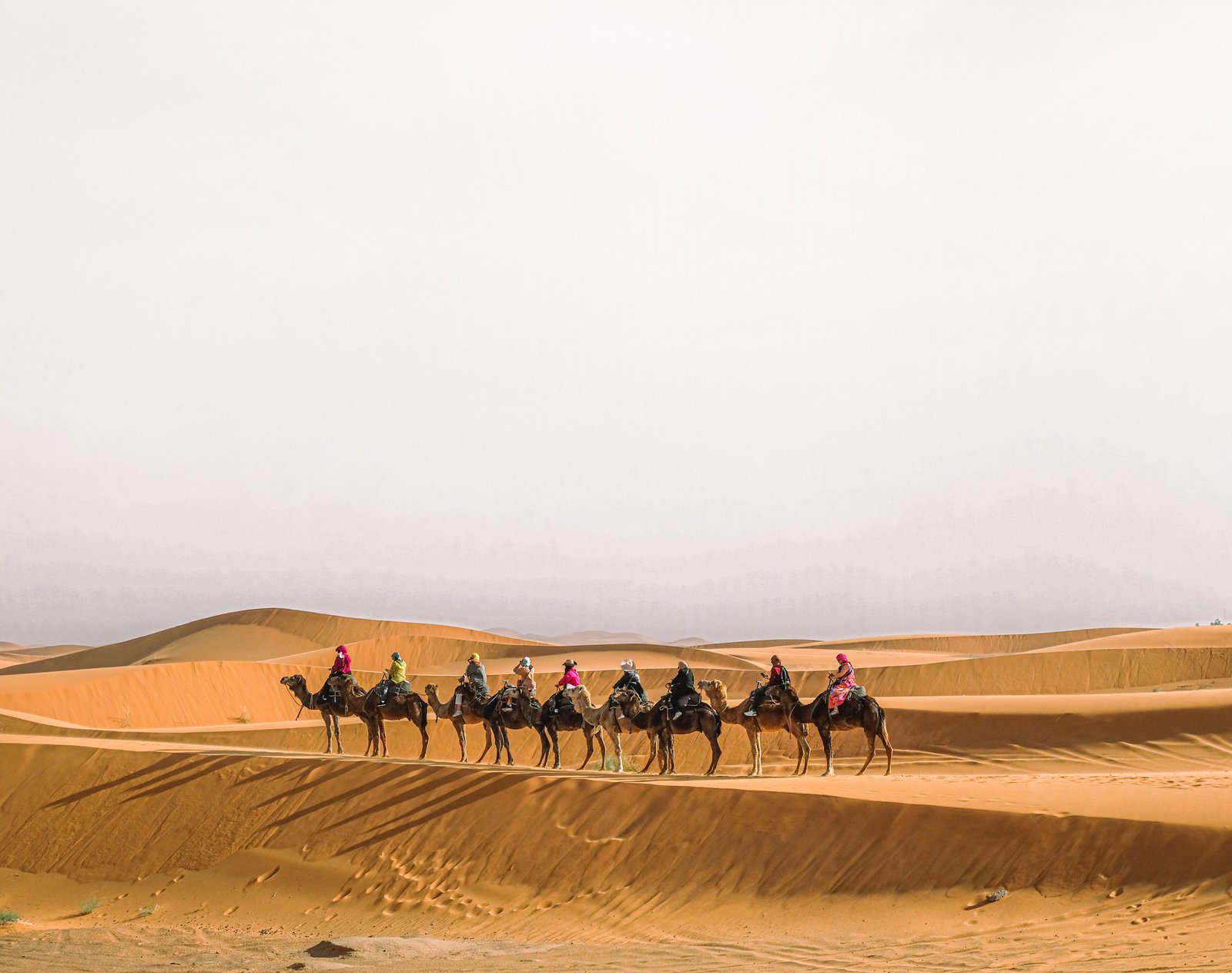 Camel ride in Merzouga desert
