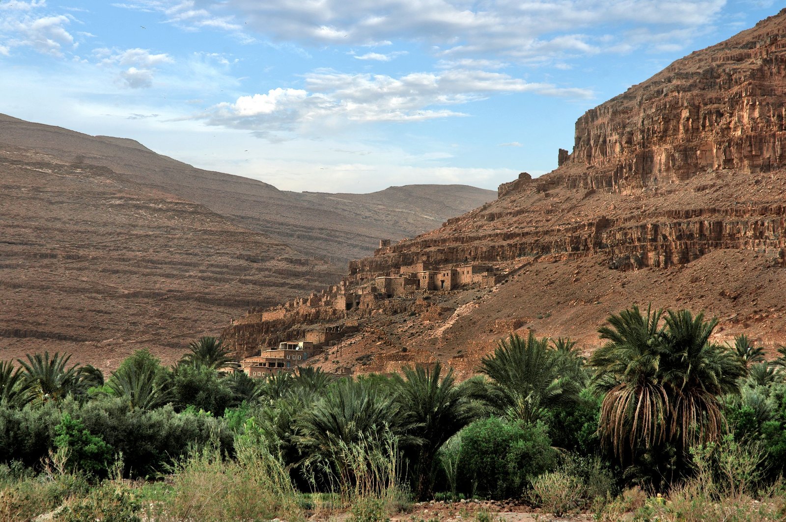 Draa Valley palm oasis