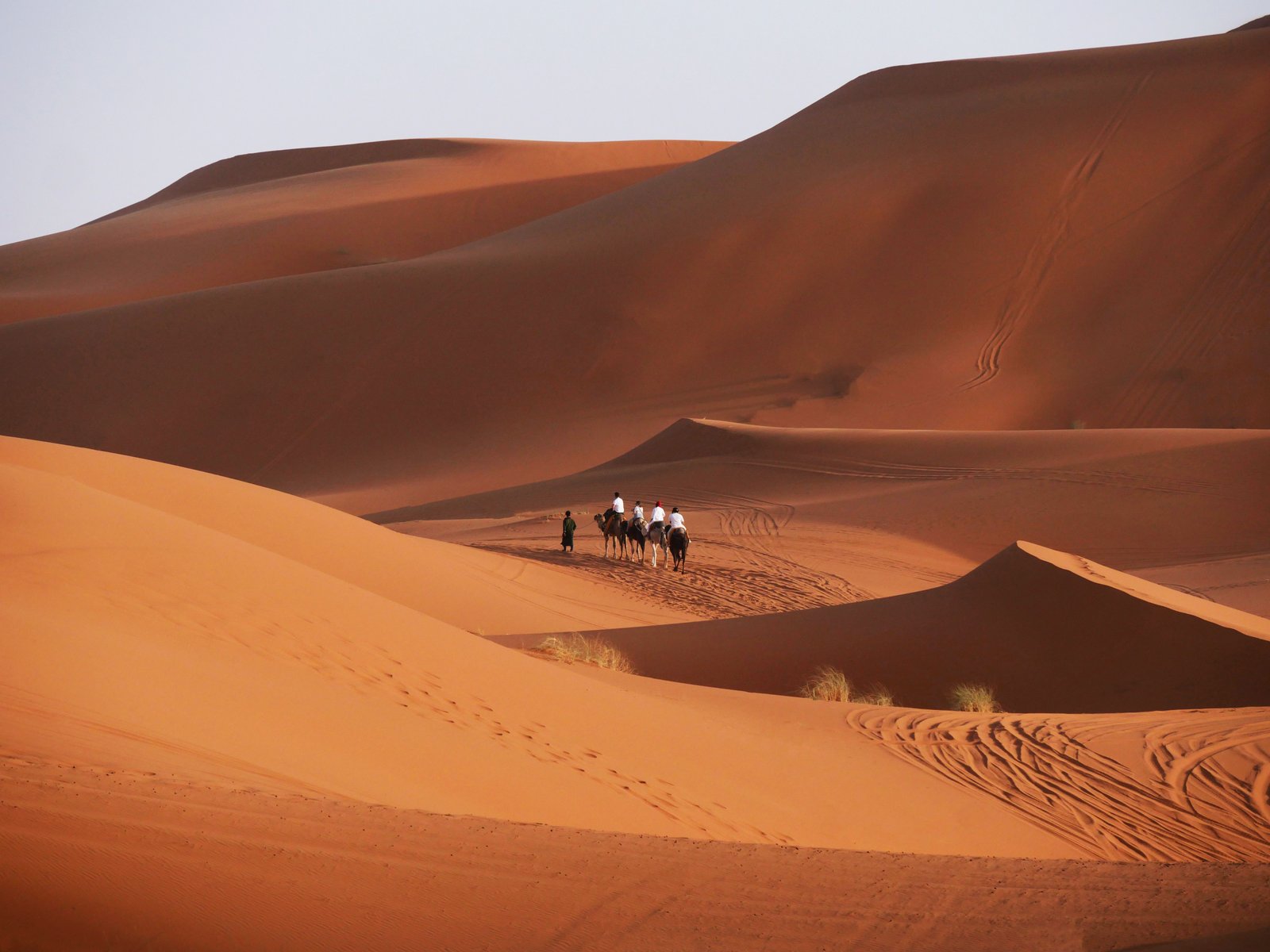 Camel trek at sunset among the Erg Chebbi dunes in Merzouga