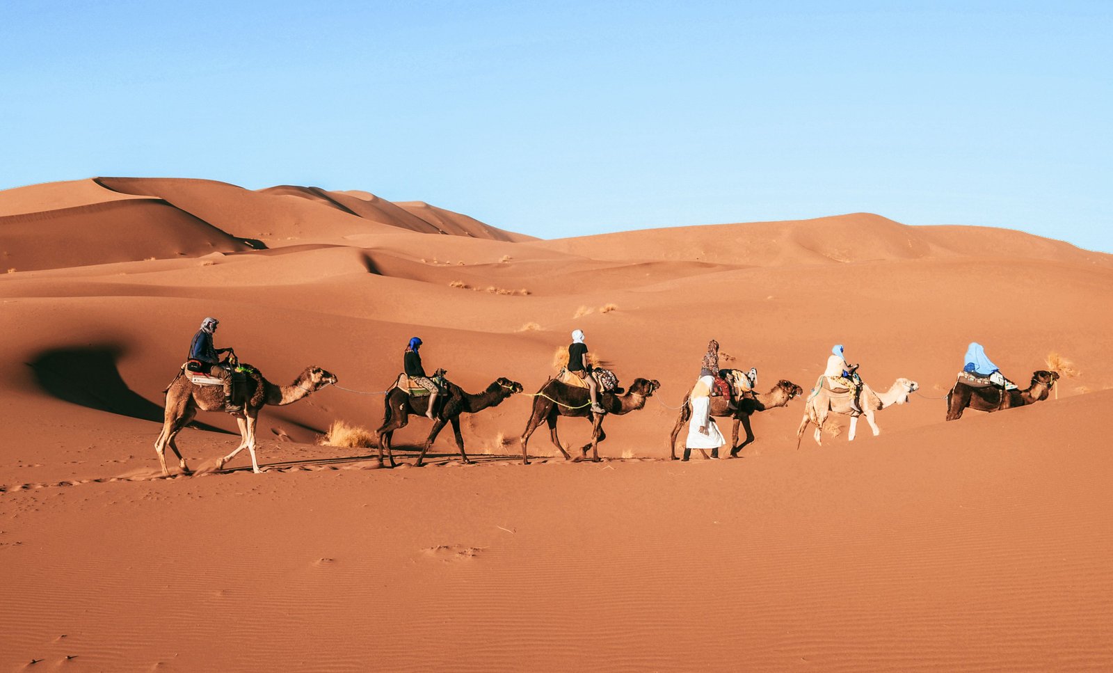 Merzouga camel trekking in Erg Chebbi dunes