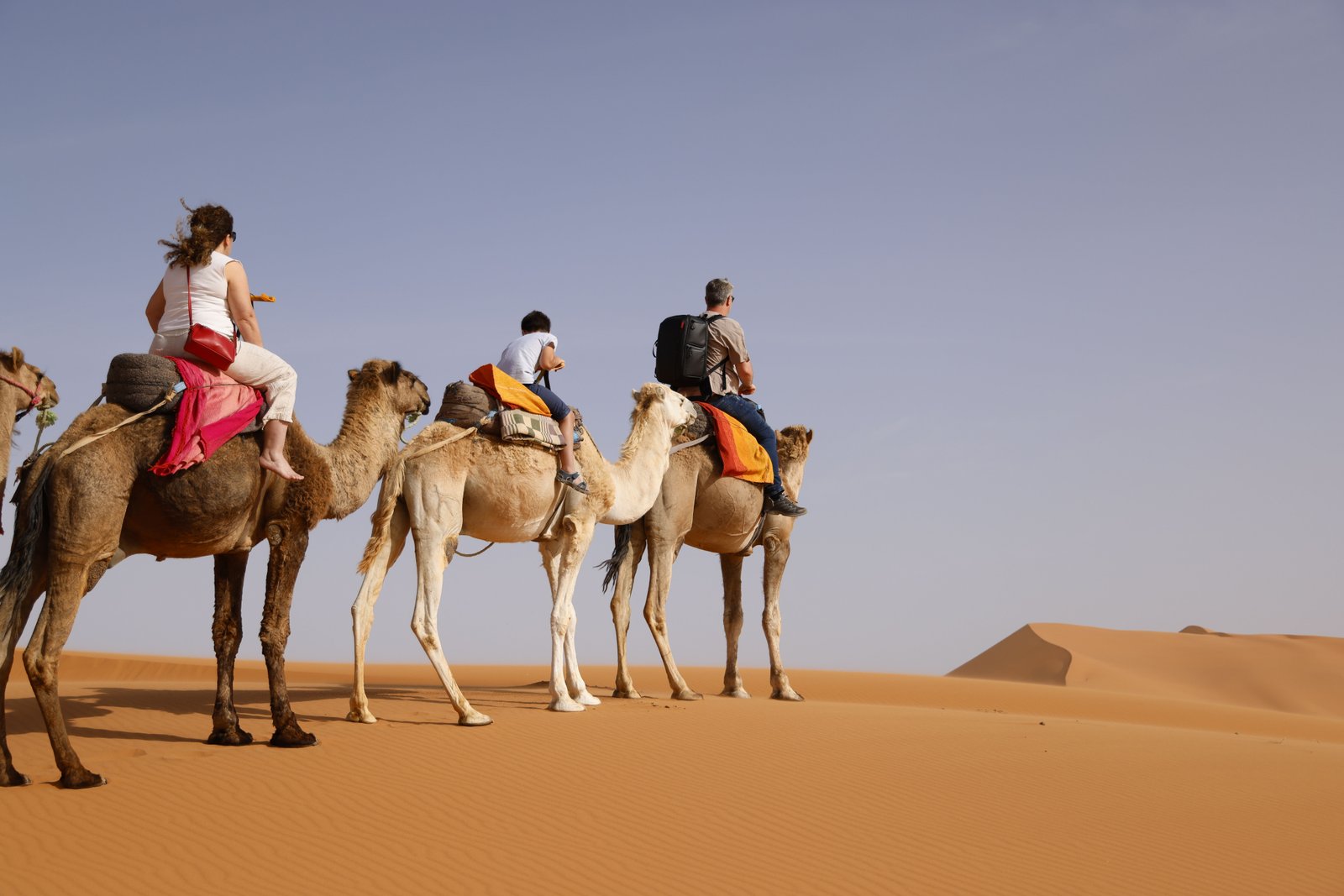 Camel ride across the Erg Chebbi dunes in Merzouga