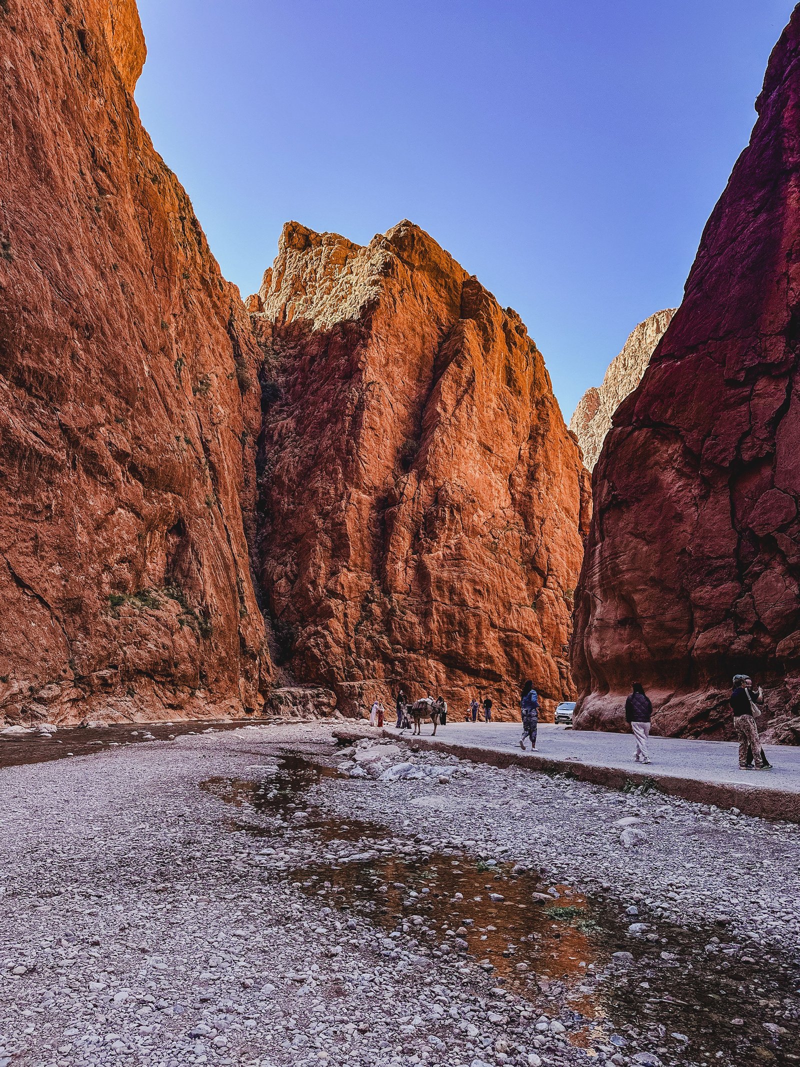 Todra Gorge near Tinghir Morocco
