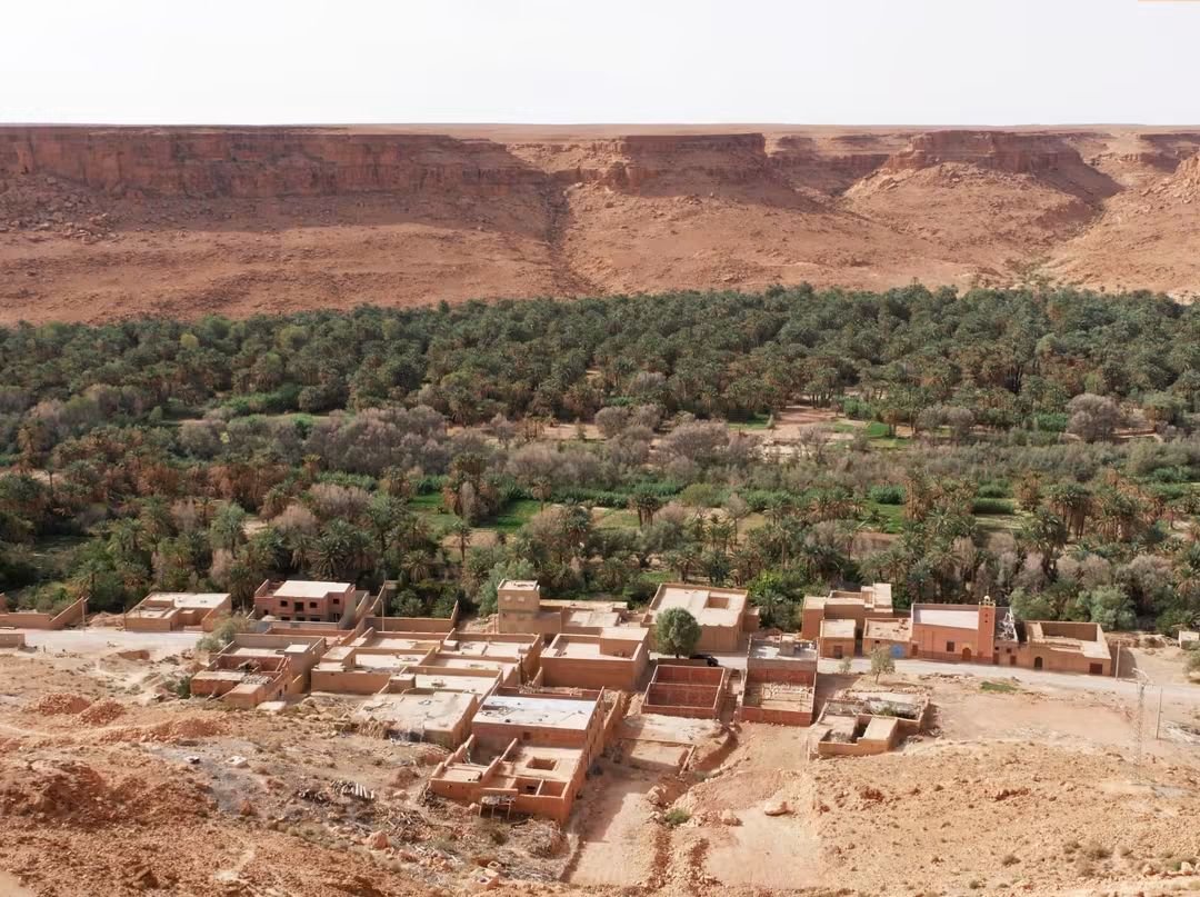 ziz valley palm oasis in Morocco