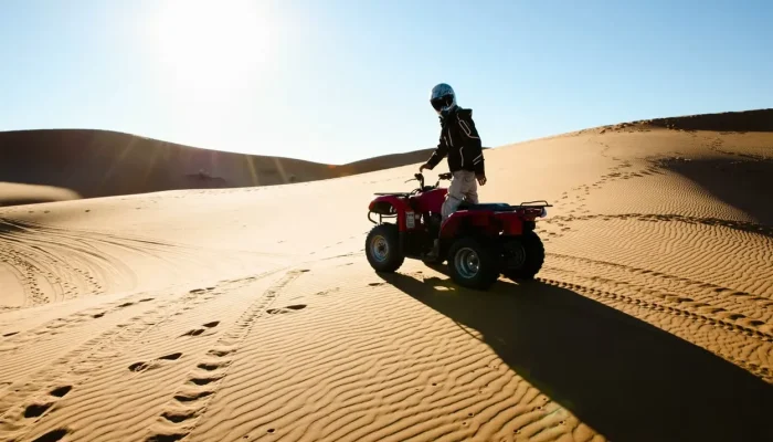 Luxury Desert Tour