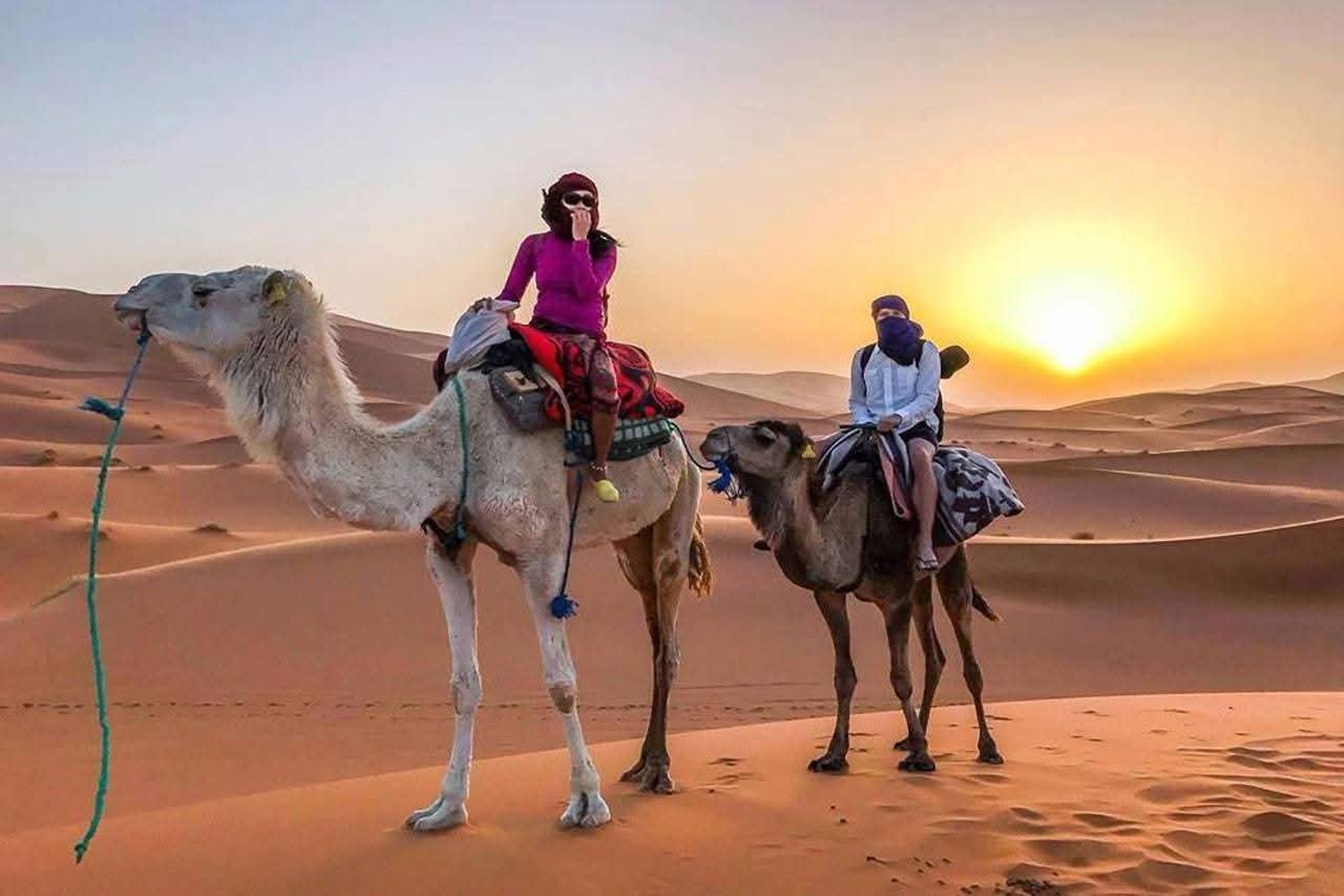 Camel trekking in Merzouga dunes