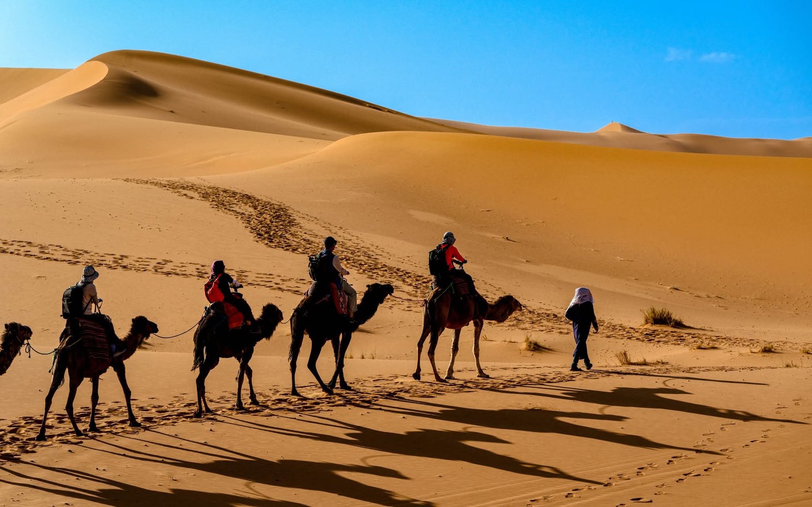 Overnight Camel Trek