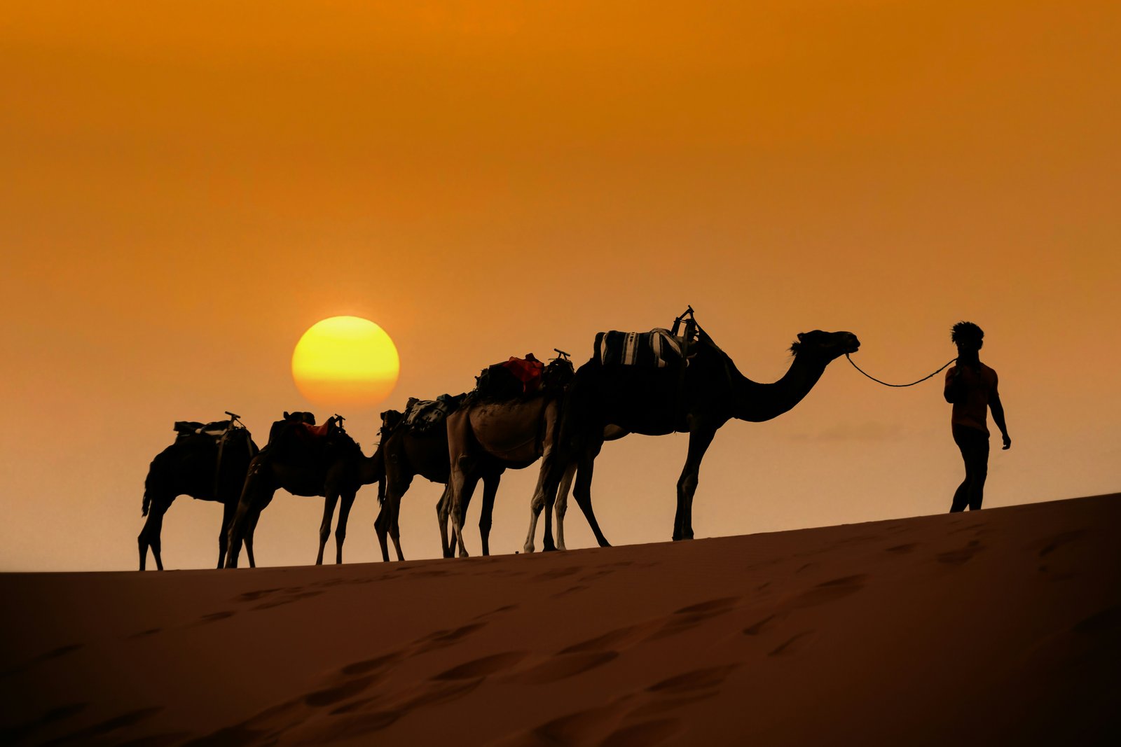Camel ride at sunset in Erg Chebbi dunes, Merzouga