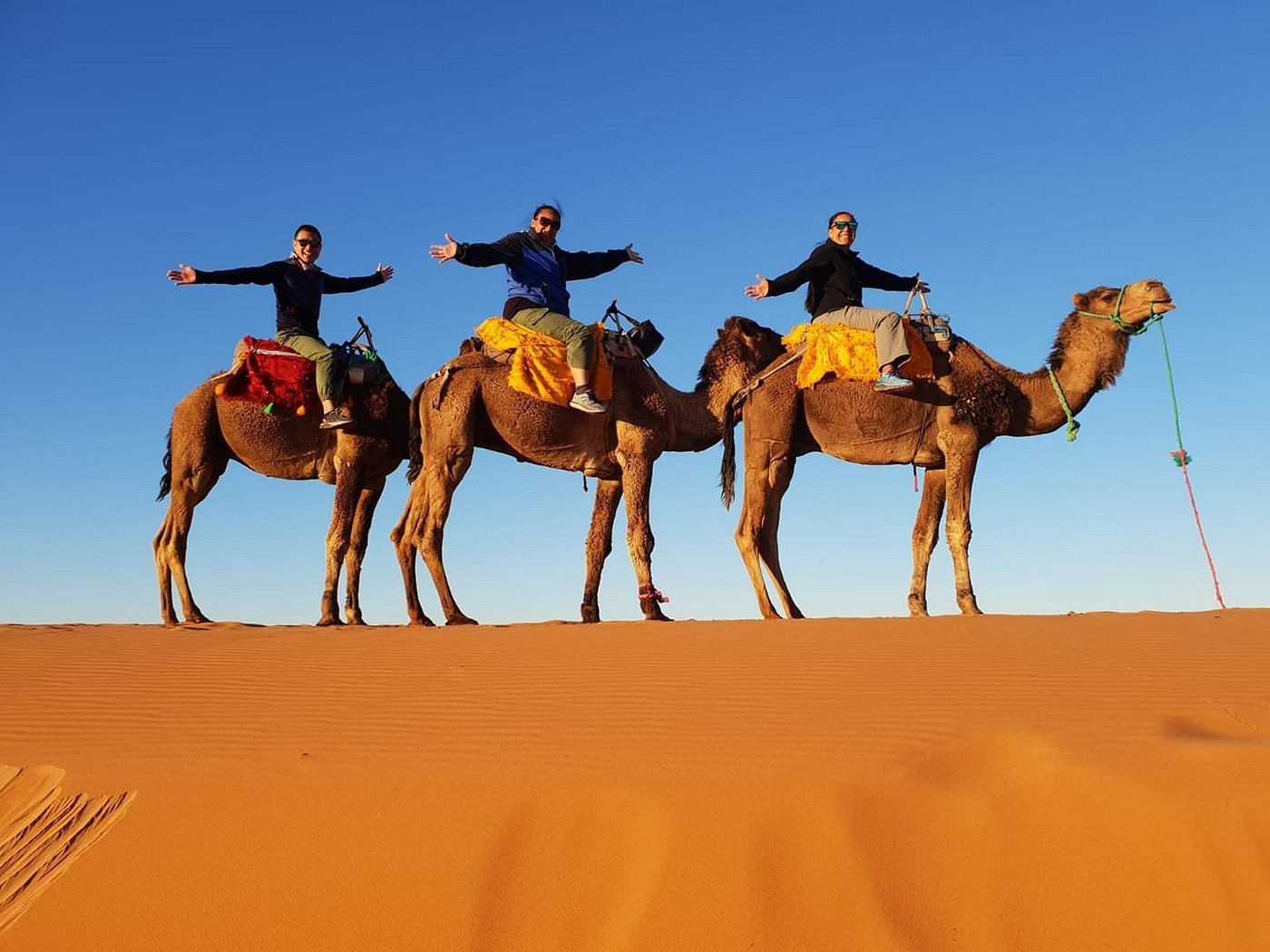 Camel ride across the Erg Chebbi dunes on a Marrakech to Merzouga desert tour
