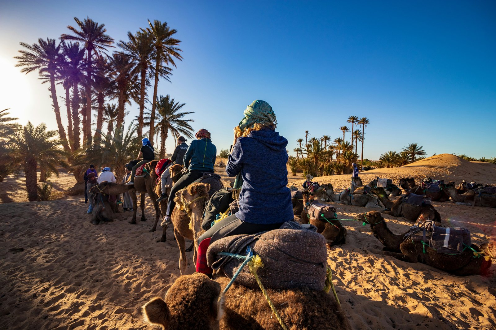 Desert camp