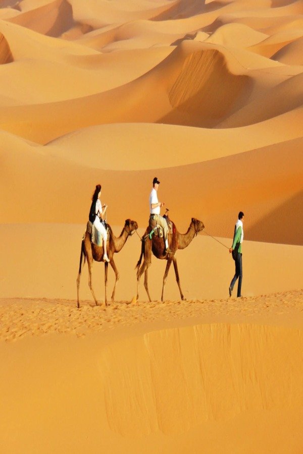 Camel trek in Merzouga