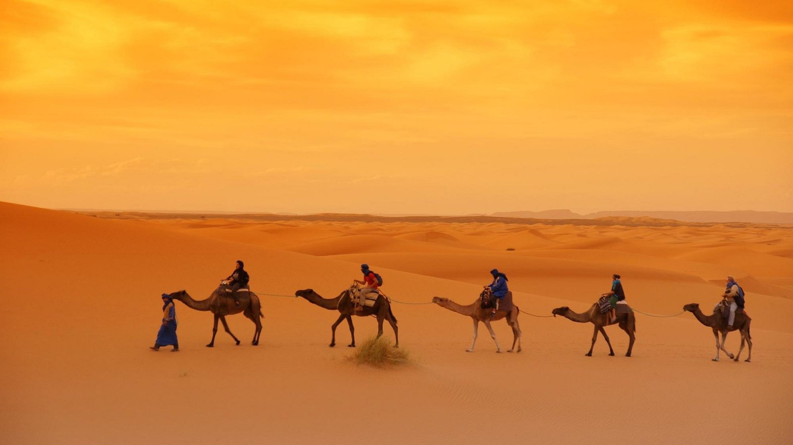 10 Best Things to Do in Merzouga