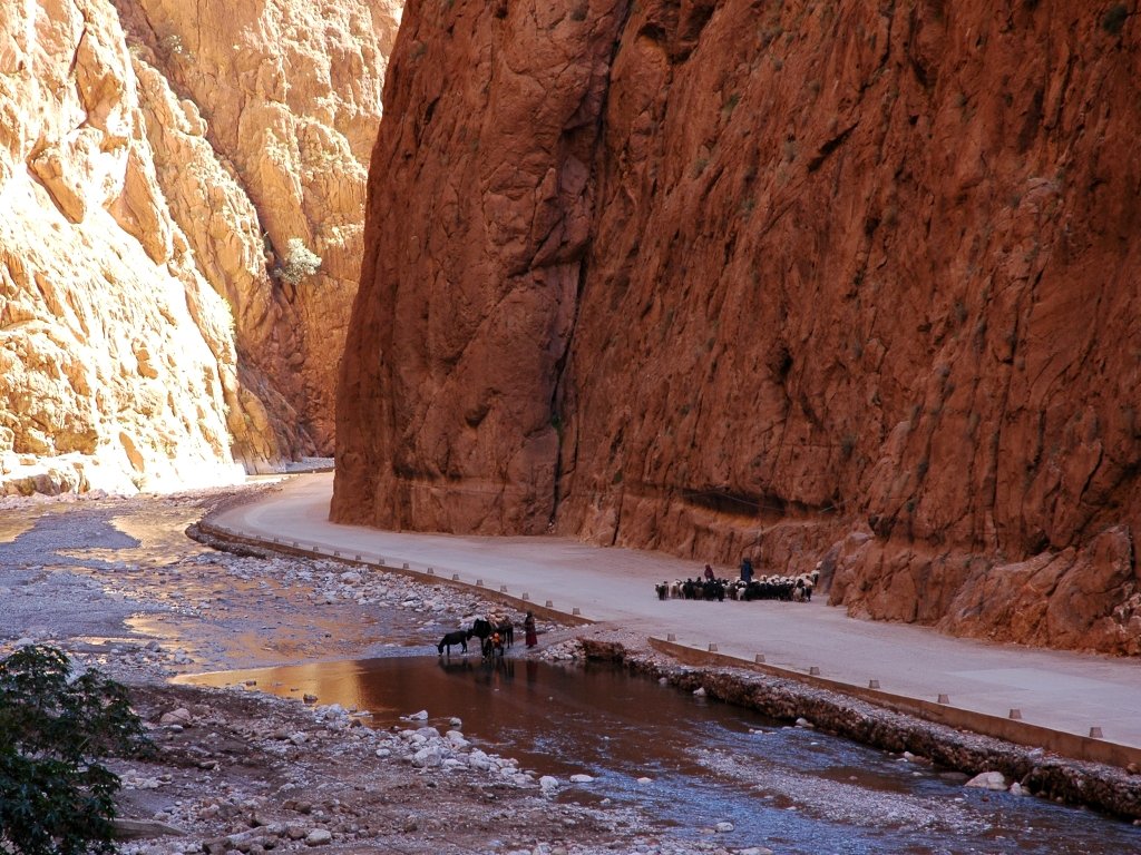 Todra Gorge canyon in Morocco