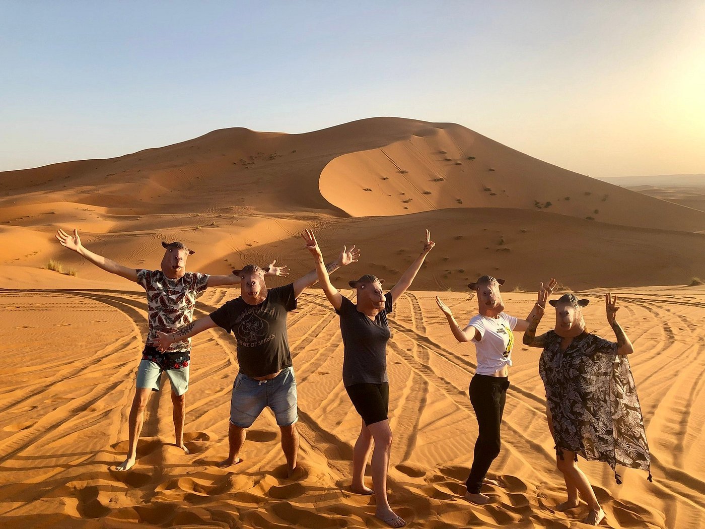 Five people standing on sandy Erg Chebbi dunes with arms raised in a joyful desert celebration