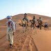 2 Nights Camel Trek in Erg Chebbi